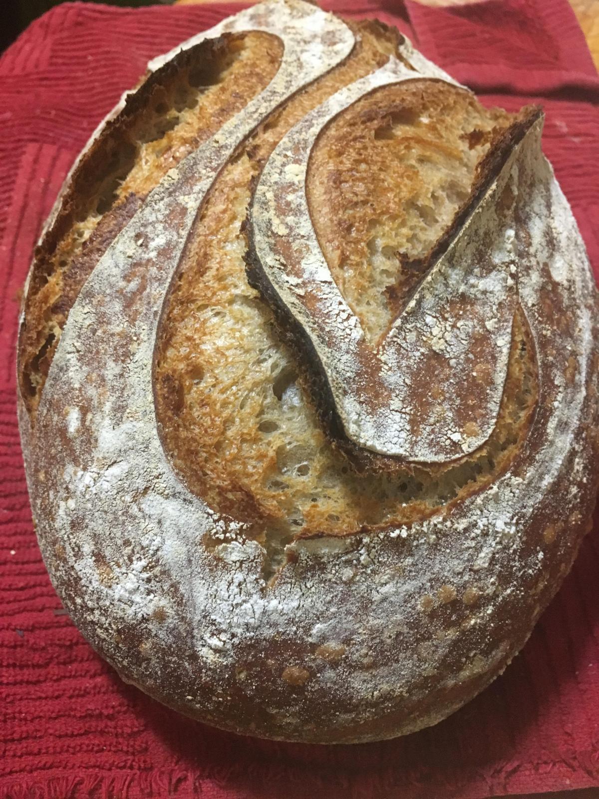 Look at that ear The Fresh Loaf